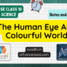 CBSE Class 10 Science – Chapter 11: The Human Eye And Colourful World – Detailed Notes & Explanation