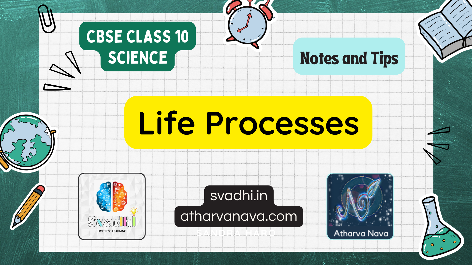 CBSE Class 10 Science – Chapter 6: Life Processes – Detailed Notes & Explanation