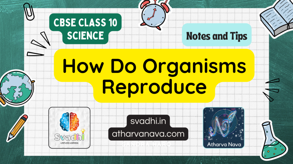 CBSE Class 10 Science – Chapter 8: How Do Organisms Reproduce  – Detailed Notes & Explanation