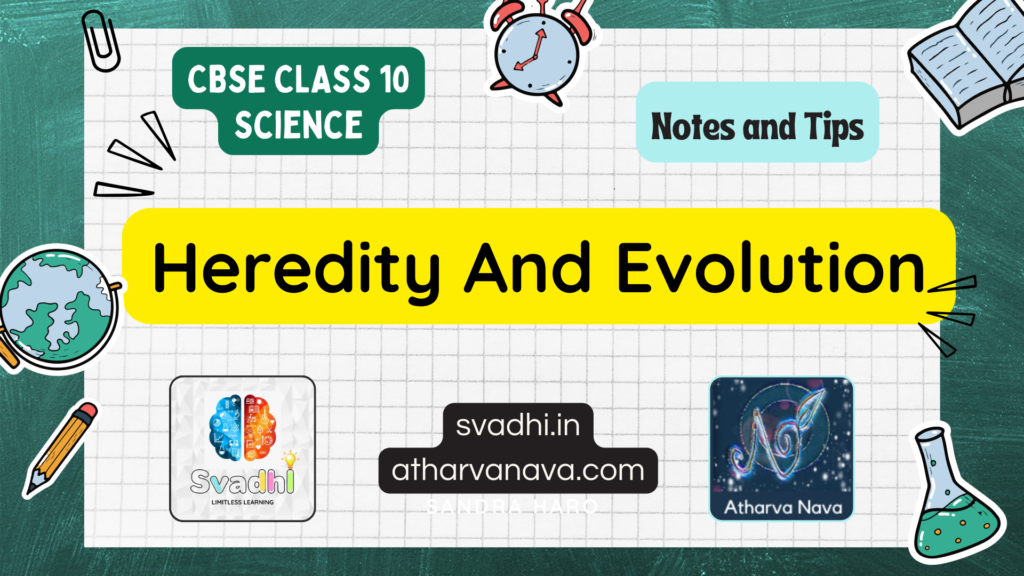 CBSE Class 10 Science – Chapter 9: Heredity And Evolution – Detailed Notes & Explanation