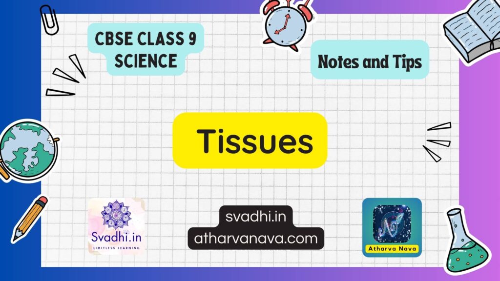 CBSE Class 9 Science Notes – Chapter 6 : Tissues