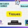 CBSE Class 9 Science Notes – Chapter 6 : Tissues